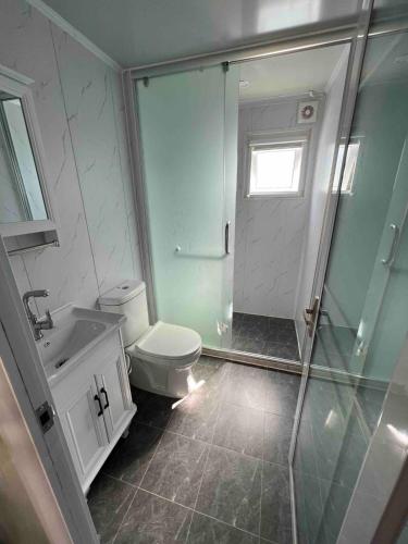 a bathroom with a shower and a toilet and a sink at Cosy Mountain Cabin in Lawson