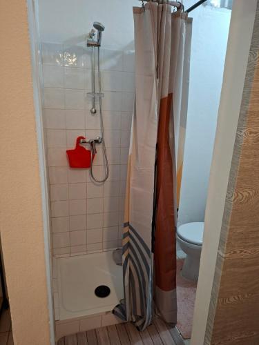 un bagno con doccia e WC di EL Templ' a Cayenne