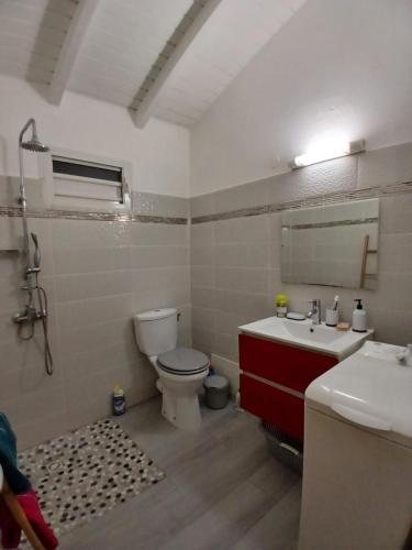 a bathroom with a toilet and a sink and a mirror at O paradis de Beauplan in Port-Louis