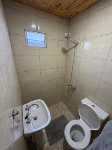 a bathroom with a toilet and a sink at Complejo Indanna in San Rafael