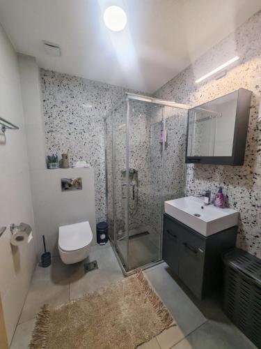 a bathroom with a shower and a toilet and a sink at Apartman Amber Vrnjačka Banja in Vrnjačka Banja