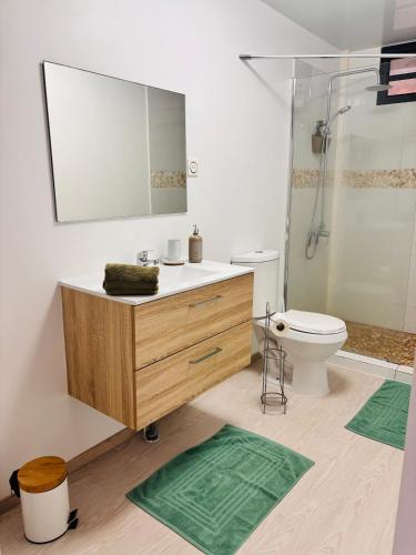 a bathroom with a sink and a toilet and a mirror at Airport Pamatai Studio in Faaa