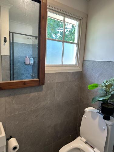 a bathroom with a toilet with a window and a plant at Guest House in East Devonport in Devonport