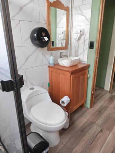 a bathroom with a toilet and a mirror at Villa Tucano in Fortuna
