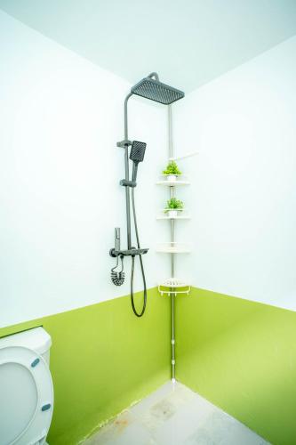 a green bathroom with a shower and a toilet at Liberty's Homestay Private Apartment in Coron