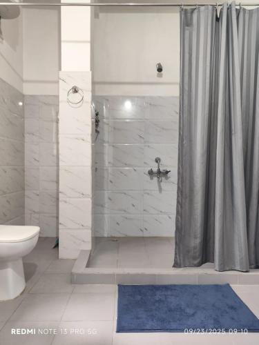 a bathroom with a shower with a sink and a toilet at Viki homestay in Dimapur