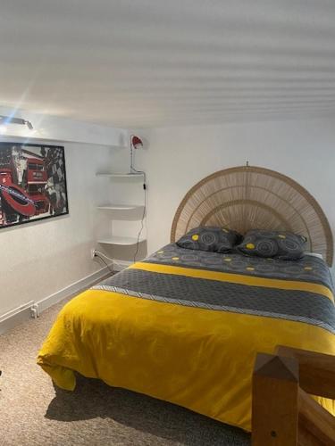 een slaapkamer met een bed met een geelblauwe deken bij Appartement Hyper Centre in Limoges