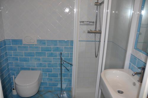 a blue tiled bathroom with a toilet and a shower at Tenuta le marze in Castiglione della Pescaia