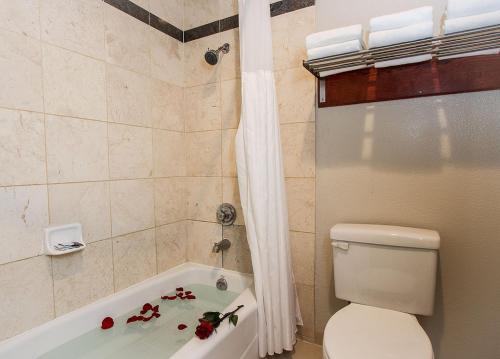 a bathroom with a toilet and a bath tub with roses at Granada Inn in Granada Hills