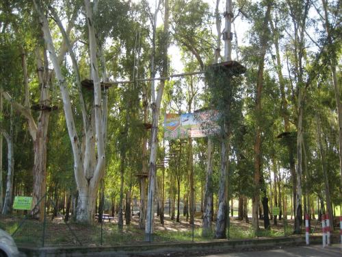Κήπος έξω από το Oasi del Lago