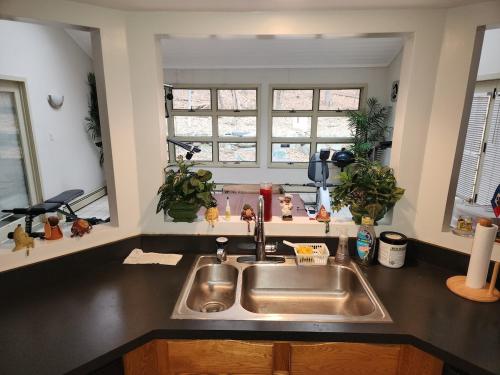 a kitchen with a sink and two windows at Eagles Nest Mansion in Montgomery