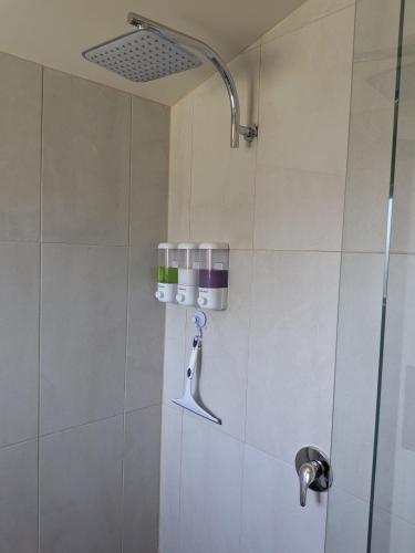 a shower with a shower head and a glass door at The Flat on Muddy in Moonta