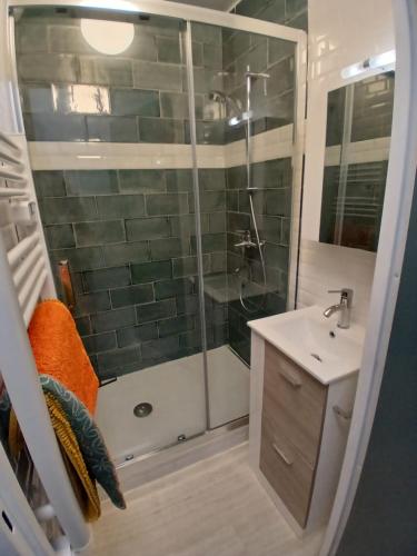 a bathroom with a shower and a sink at Studio POP Canet En Roussillon in Canet-en-Roussillon