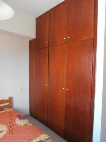 Nikitis House