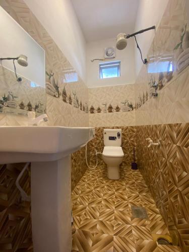 a bathroom with a sink and a toilet at Budget Comfort Villas in Boragasketiya