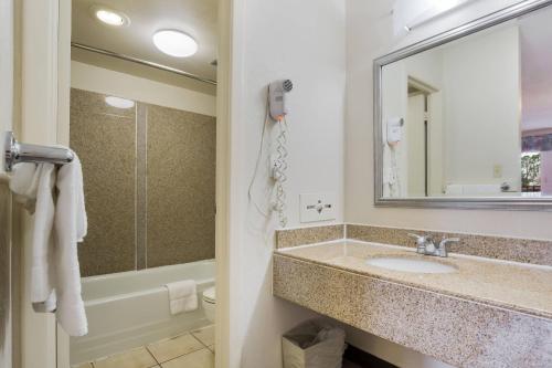 a bathroom with a sink and a mirror and a tub at Econo Lodge Williamsburg Historic Area in Williamsburg