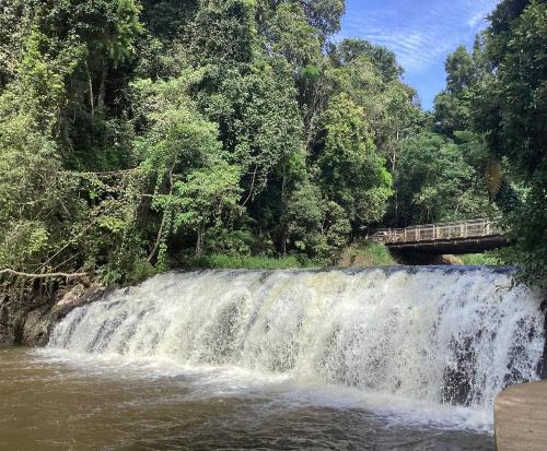 a bridge over a waterfall on a river at Malanda Falls Retreat in Malanda