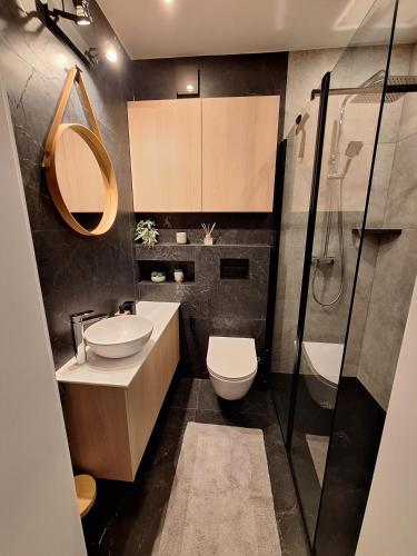 a bathroom with a sink and a toilet and a shower at Apartament TARNÓW LWOWSKA in Tarnów