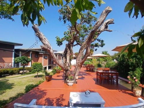 a tree sitting on a table in a yard at River Bend Villas in Mae Rim