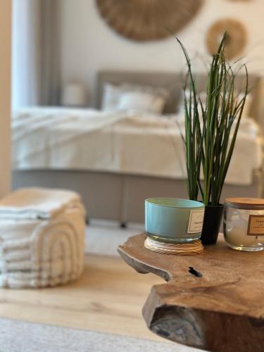 Shelter Luxury Apartament