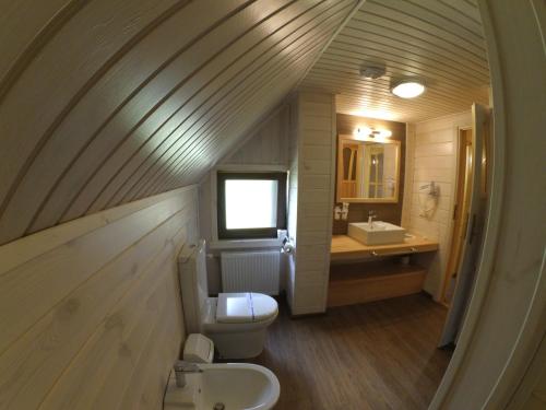 a bathroom with a toilet and a sink at Hotel Ozero Vita in Nizhniy Studenyy