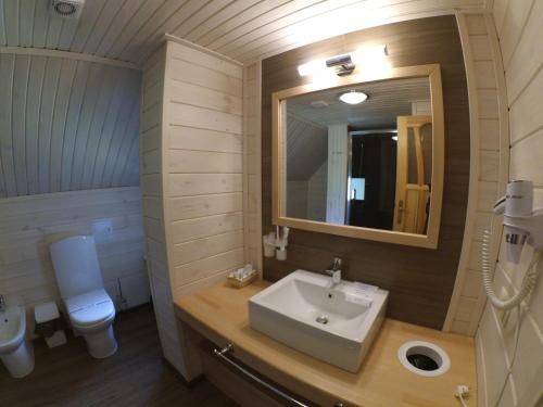 a bathroom with a sink and a toilet and a mirror at Hotel Ozero Vita in Nizhniy Studenyy