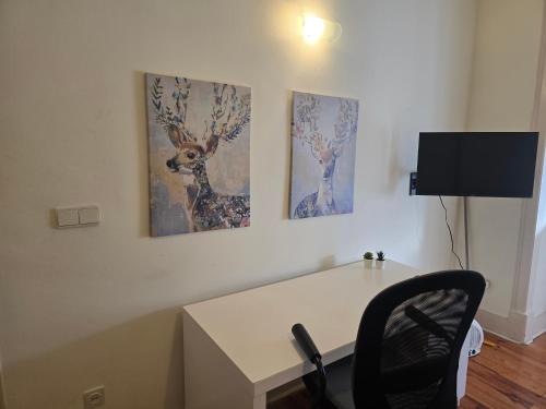 Great Lisbon Studio