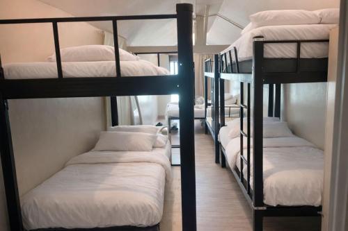 a group of bunk beds in a room at Noahs Ark Beachfront in Lamai