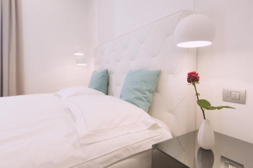 Ambassador Suite Studio
