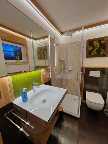 a bathroom with a sink and a shower and a toilet at Haus Obermaiselstein in Obermaiselstein