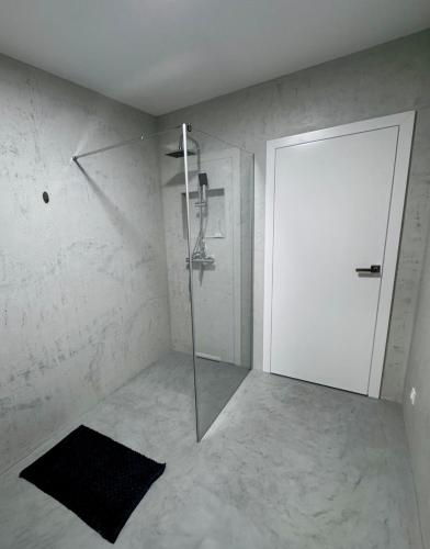 a bathroom with a shower with a glass door at Erdeis Apartments in Krems an der Donau