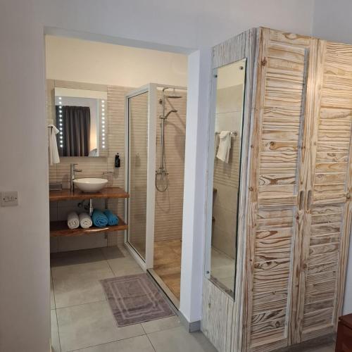 a bathroom with a shower and a sink at Harmony Self-Catering Apartments in Beau Vallon
