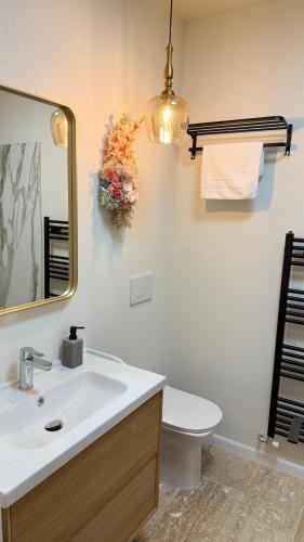 a bathroom with a sink and a mirror and a toilet at Pensiunea SOLEA in Ucea de Jos