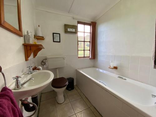 a bathroom with a tub and a sink and a toilet at Sani Lodge & Cottages in Sani Pass