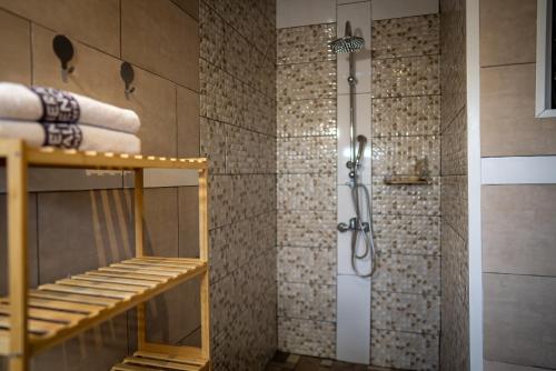 a bathroom with a shower and a walk in shower at Le Cocon de Bagatelle in Sainte-Suzanne