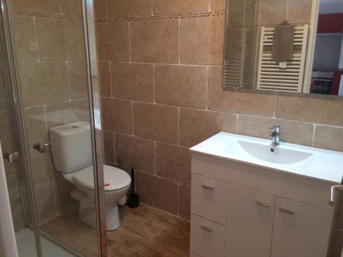 a bathroom with a toilet and a sink and a mirror at A Stalla in Piana