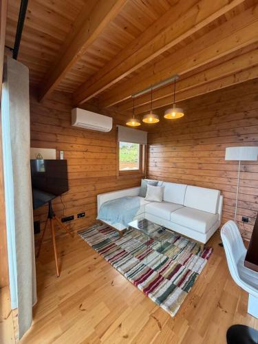 a living room with a white couch and a television at Sunset Eco Shelter 1 in Ponta do Pargo