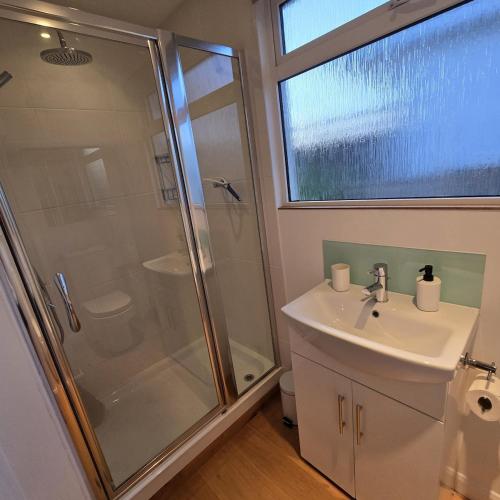 a bathroom with a shower and a sink and a toilet at Dinky Daze Norfolk Broads in Brundall
