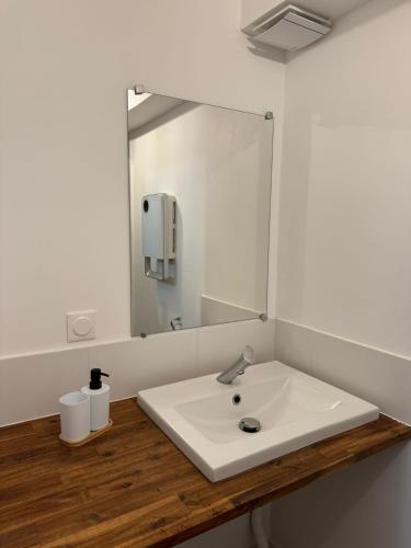 a bathroom with a white sink and a large mirror at Logement 11 parking gratuit in Poitiers