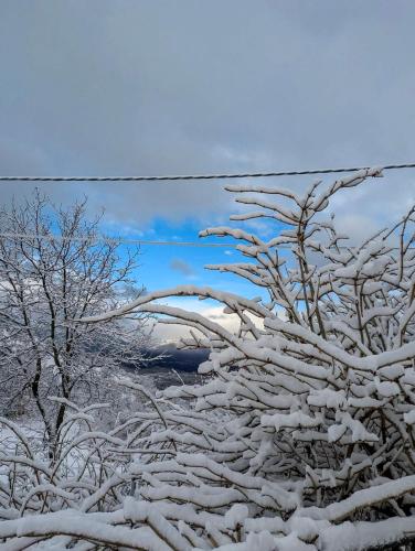 a tree covered in snow with the sky in the background at Lucoli Antico in Vado Lucoli