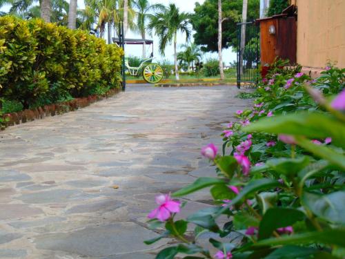 a stone pathway with pink flowers and a carriage at Hotel El Maltese in Granada