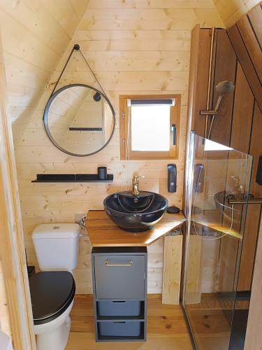 a bathroom with a sink and a toilet at Tiny Chaumière - Escapade Romantique - Chaumière et Jacuzzi Privatif proche Pont-Aven in Riec-sur-Bélon