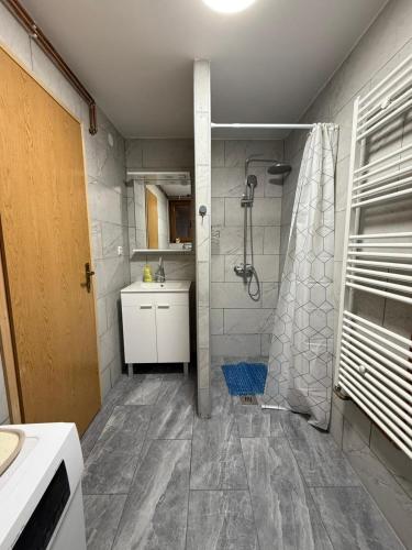 a bathroom with a shower and a sink at Kuća za odmor Marija in Gospić