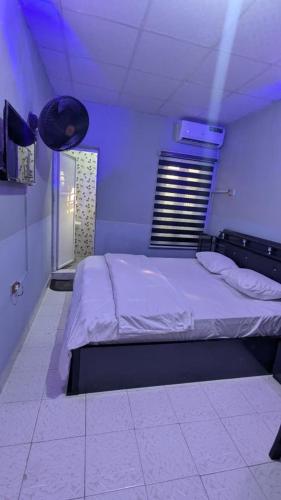 a bedroom with a large bed in a blue room at Lux 3bedroom apartment in Okunola
