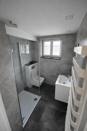 a bathroom with a toilet and a sink at Wonderful Dream Apartament z widokiem na Śnieżkę in Karpacz