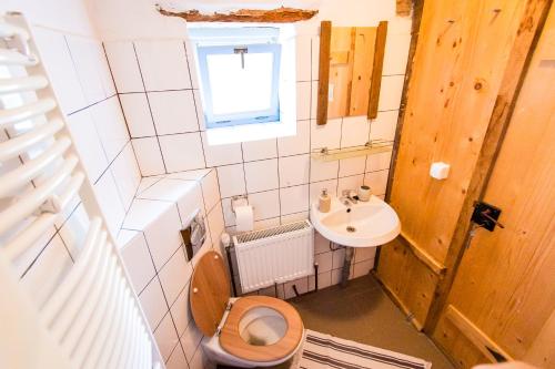 a small bathroom with a toilet and a sink at Ferma de Biodiversitate COBOR in Cobor