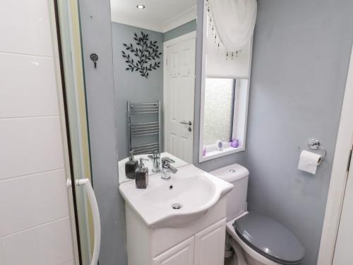 a bathroom with a sink and a toilet and a mirror at Harper's Hideaway in Morpeth