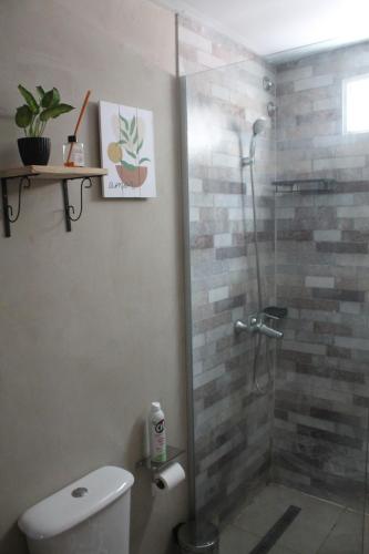 a bathroom with a glass shower with a toilet at Mirabela Casa con vista panorámica a las sierras en Bialet Massé- Hasta 4 personas in Bialet Massé