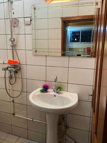 Vonios kambarys apgyvendinimo įstaigoje Le Petit Cocon