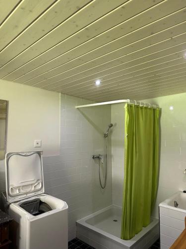 a bathroom with a shower with a green shower curtain at Bräkerhaus Toggenburg in Lichtensteig